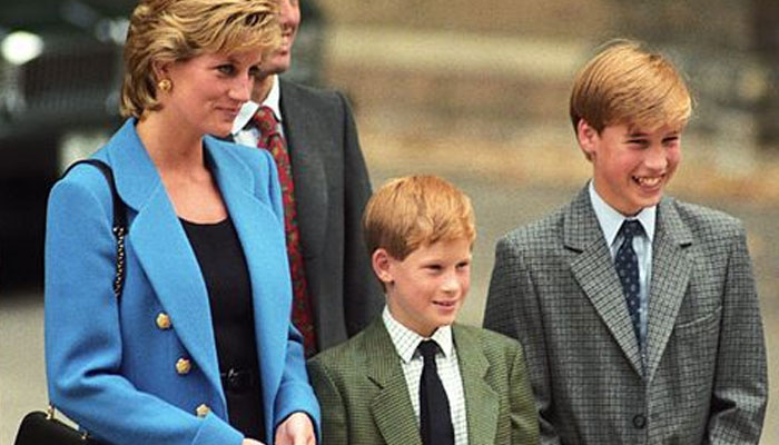 Princess Diana would have ‘fought’ for Prince William and Harry amid royal rift