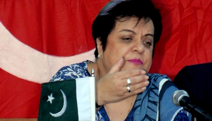 In rare rebuke, Mazari says Foreign Office 'let Kashmiris, PM Imran down'