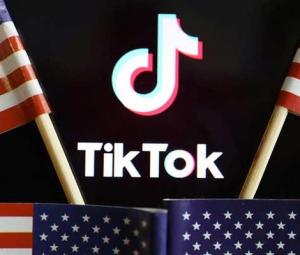 TikTok to mount battle against Trump ban next week: report 