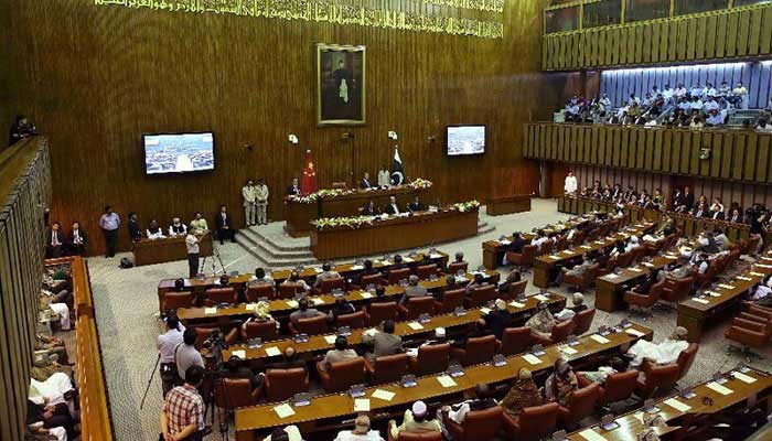 Senate rejects two FATF-related bills after PPP, PML-N vote against them
