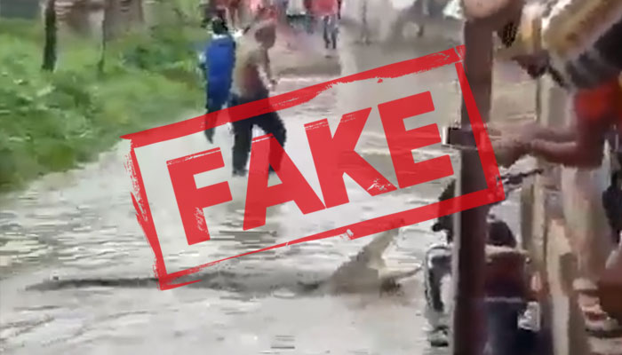 Karachi rains: Geo News fact-checks misinformation, dubious reports of crocodiles, diving