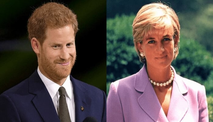 Prince Harry used to loathe Palace courtiers much like Princess Diana 