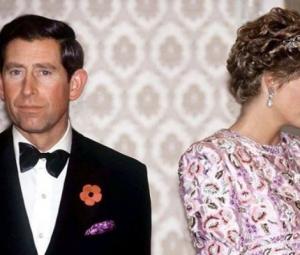 Prince Charles 'was still in love with Princess Diana' despite messy divorce 