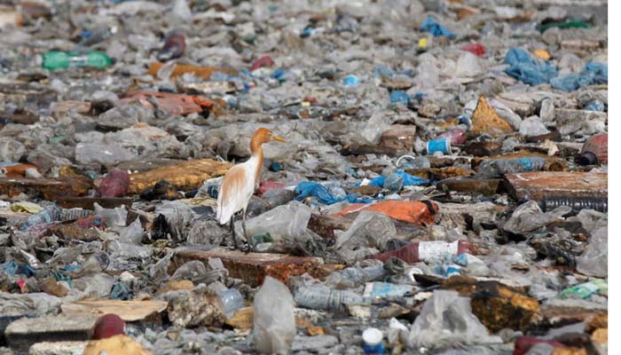 Chinese firm's contract to lift garbage from Karachi's District West restored