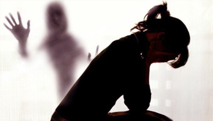 Sindh govt body urges LEAs to sensitise staff handling cases of violence against women