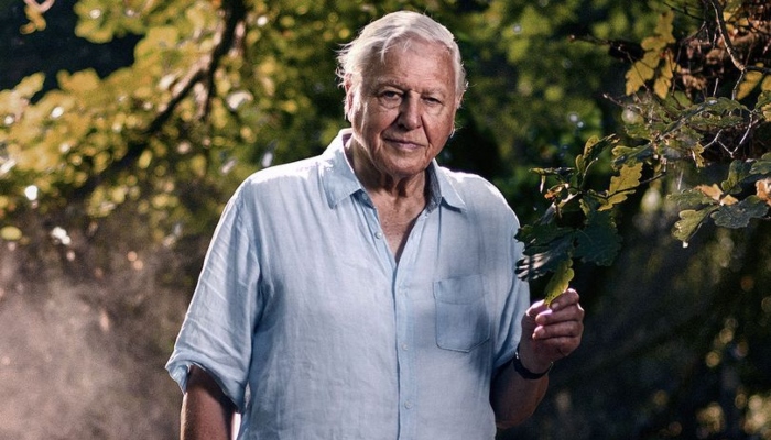 Attenborough's documentary warns humanity to protect species for their own survival