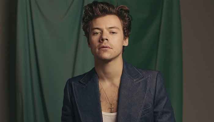 Does Harry Styles Have A Daughter Does Harry Styles Have A Daughter