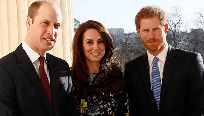 Prince William and Kate Middleton scrap Harry's 'Duke of Sussex' title in their birthday tribute