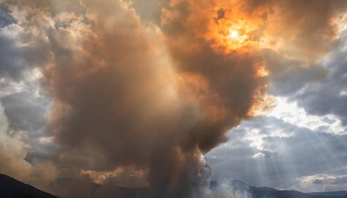 Heavy showers bring relief to fire-struck Oregon, death toll climbs in California