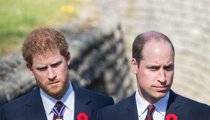 Prince Harry and Prince William's ties are improving, says royal expert 