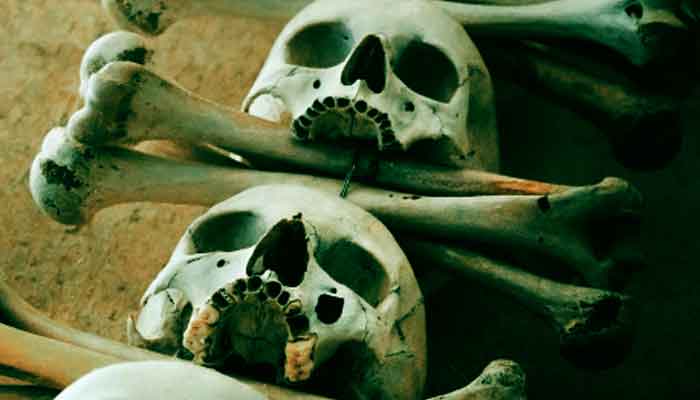 Probe launched after human skulls, bones found in Karachi’s DHA