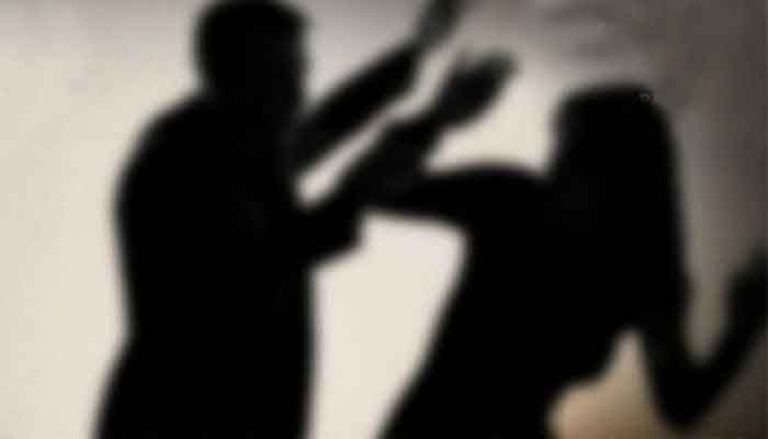 Violence Against Women committee expresses concern over rising cases of gender-based violence in Sindh