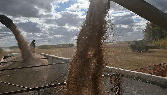 Wheat price in Pakistan touches historic high: report