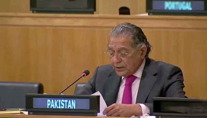 Hong Kong China’s internal matter, says Pakistan at UN