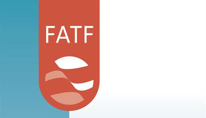 Pakistani senator asks FATF to blacklist India for money laundering