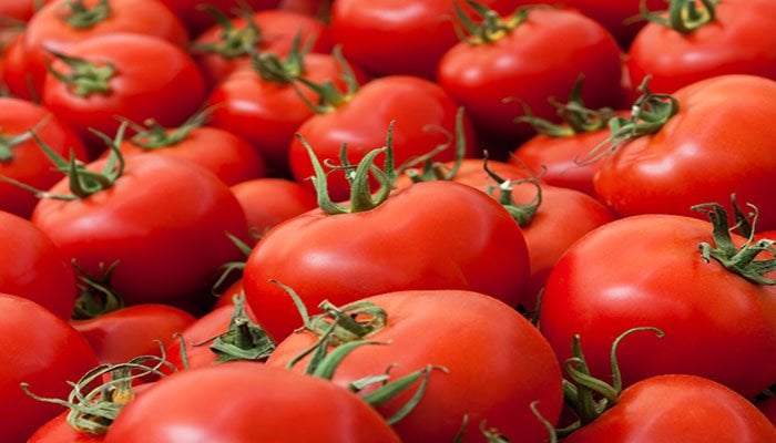 Govt decides to import tomatoes from Iran due to high prices in country