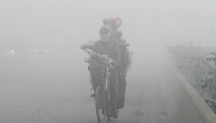 Punjab bans vehicles emitting pollutants, burning of crops to curtail smog