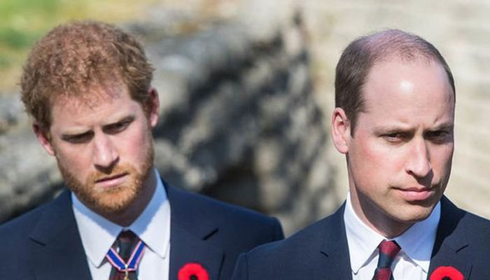 Prince William exceedingly ‘jealous’ of Prince Harry’s ‘rouge’ reputation