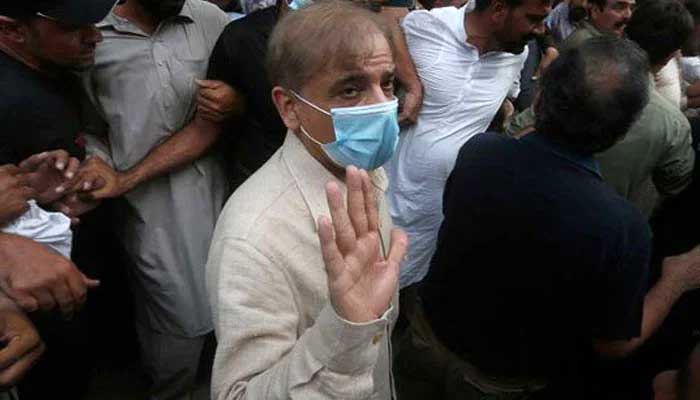 Court orders provision of 'B' category jail facilities to Shahbaz Sharif