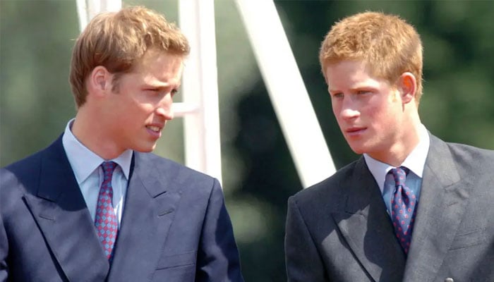 Prince Charles neglected Prince Harry, William due to his affair with Camilla?