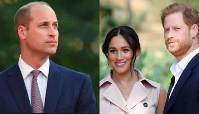 'With Prince William as king, Meghan Markle's life would have changed' 