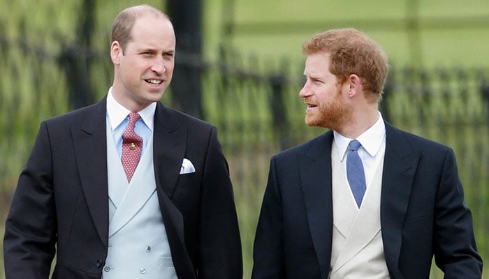 Prince William stole Prince Harry’s youth with his over protective attitude