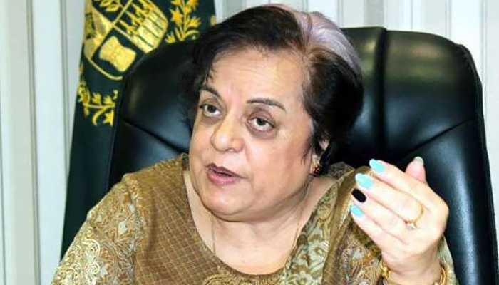 Zohra Shah murder: Mazari stresses on implementation of law in child labour, abuse cases