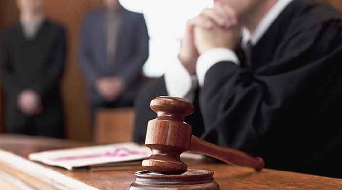 Arzoo Raja case: 44-year-old alleged husband to appear before court today