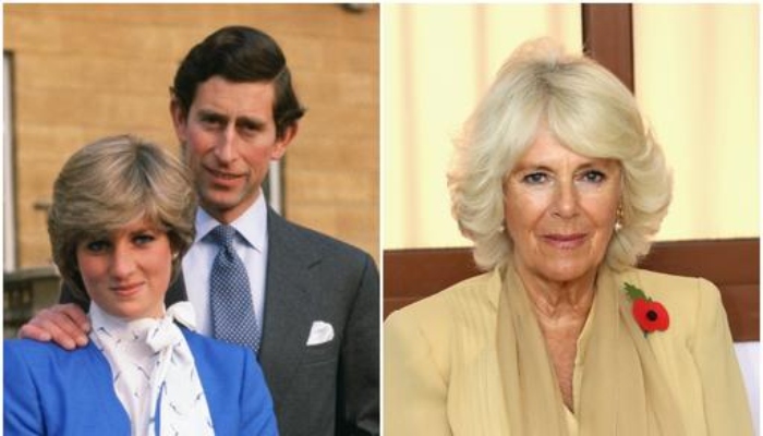 Princess Diana felt 'like a lamb to the slaughter' seeing Camilla attend her and Charles' wedding