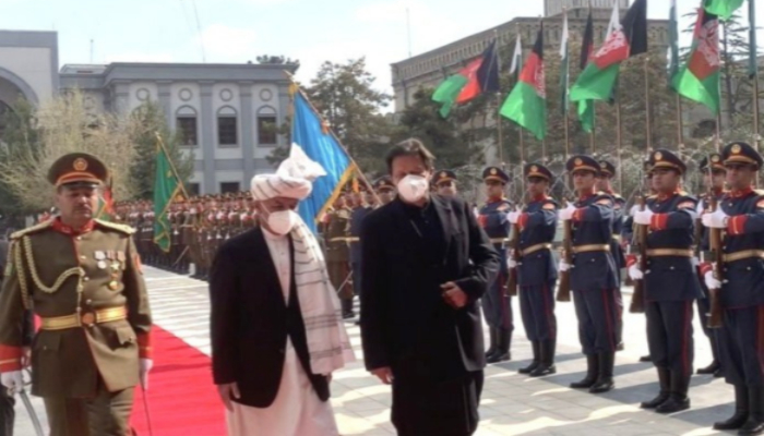 PM Imran Khans Kabul visit only cost $11,000: Shahbaz Gill