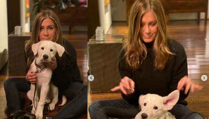 Jennifer Aniston 'grateful' without a boyfriend on Thanksgiving Day 