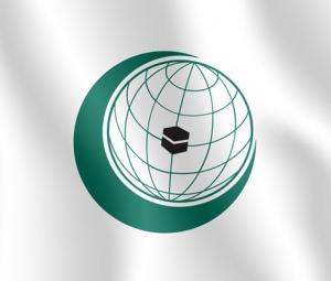 OIC deplores Indian state-sponsored terrorism against innocent Kashmiris