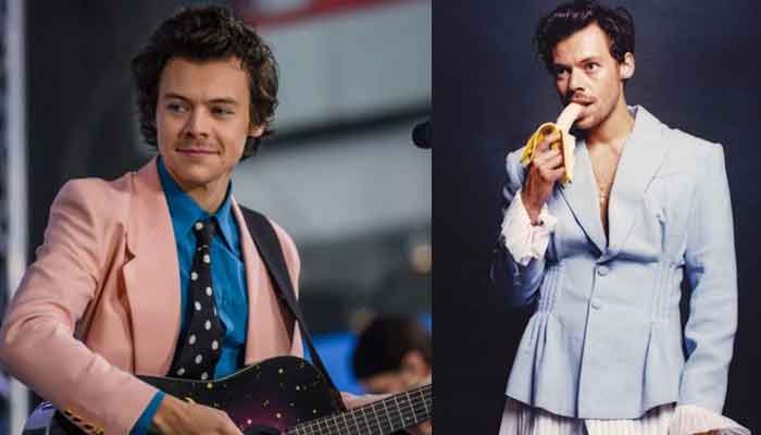 Harry Styles pokes fun at his critic as he shares a hilarious post