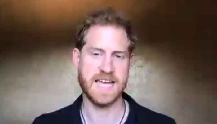 Prince Harry takes part in conversation about the environment 