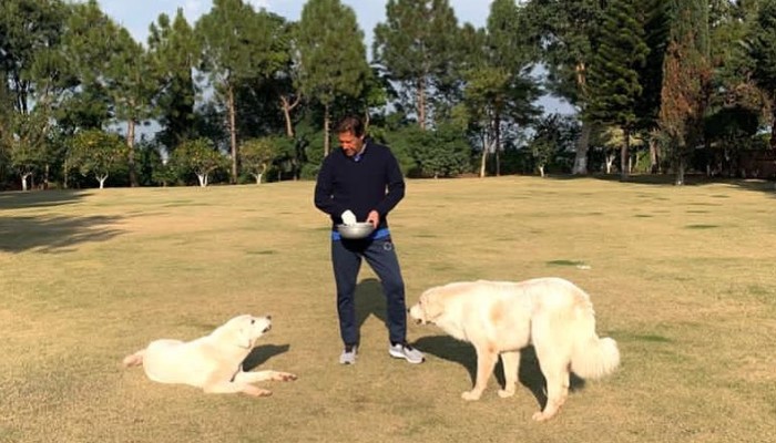 PM Imran Khan relaxes at home with dogs amid PDM power show