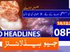 Geo Headlines 08 PM | 14th December 2020