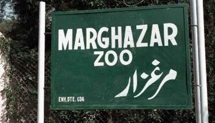 Islamabad Zoo to have an electric train in upcoming safari park
