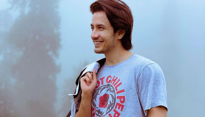 Pop music will come back with time: Ali Zafar - News18