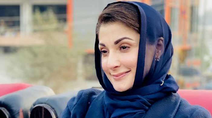 WATCH: Maryam Nawaz’s Pashto speech charges up crowd at PDM's Mardan rally