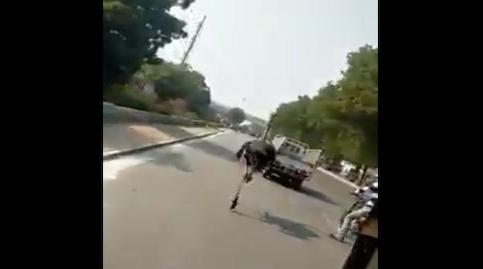 Watch: Karachiites stunned to see ostrich running across a road Watch: Karachiites stunned to see ostrich running across a road