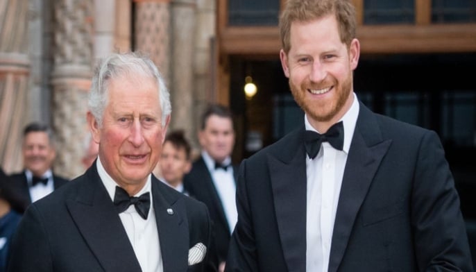 Prince Harry ashamed after Queen hands down his military titles to Charles and William 