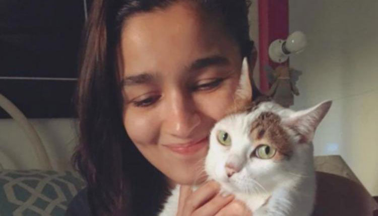 Goodbye my angel: Aliya Bhatt mourns loss of pet cat