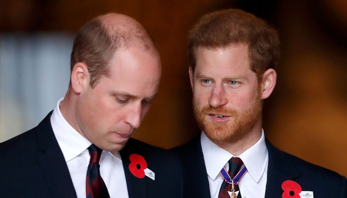 Prince Harry, Prince William may never mend ties ever again: report - Vimarsana News