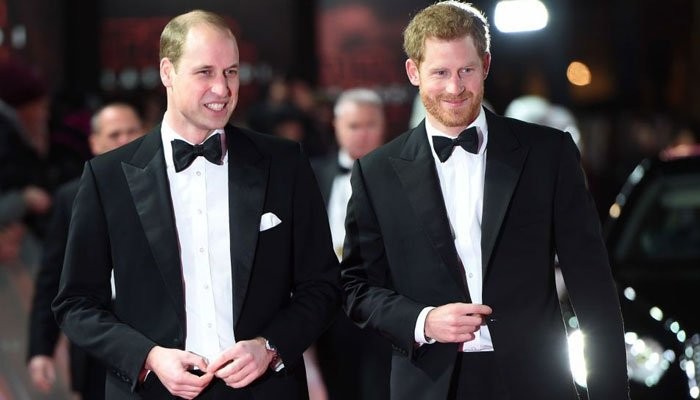Prince Harry, Prince William's 'united front' is concealing behind the scenes' tensions - Vimarsana News