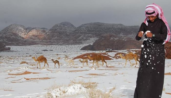 Blanket of snow covers Saudi Arabia mountains