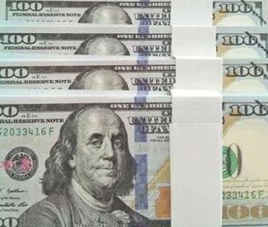 US dollar sold at Rs160.6 on Jan 15