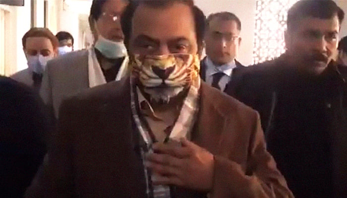 'Noonie Swag': Rana Sanaullah's lion face mask turns heads in court, on Twitter