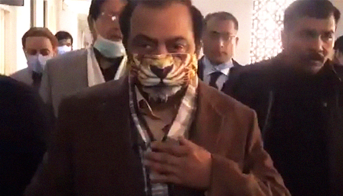 'Noonie Swag': Rana Sanaullah's lion face mask turns heads in court, on Twitter