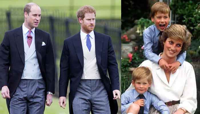 Prince Harry and William's love for their mother Princess Diana will never die