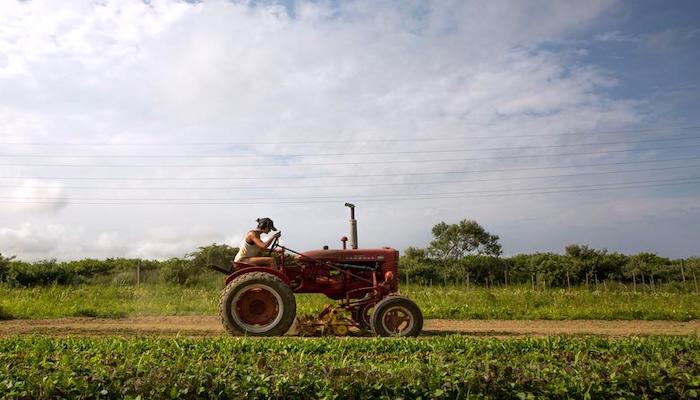 Pakistan pins big hopes on small dams to help Sindh farmers beat drought